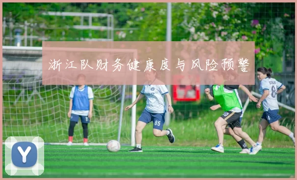 浙江队财务健康度与风险预警
