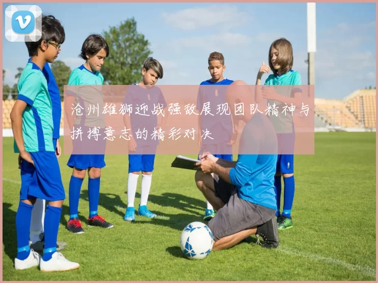 沧州雄狮迎战强敌展现团队精神与拼搏意志的精彩对决