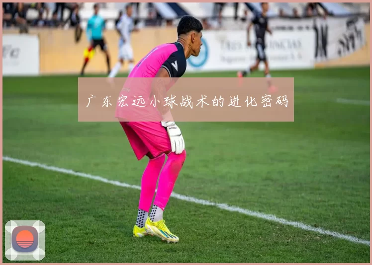 广东宏远小球战术的进化密码